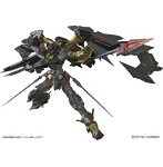 RG 1/144 ガンダムアストレイゴールドフレーム 天ミナ