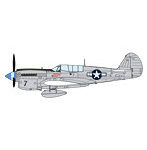 1/48 P-40N ウォーホーク ‘ナチュラルメタル エーセス’