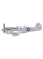 1/48 P-40N ウォーホーク ‘ナチュラルメタル エーセス’