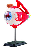 目玉 14cm
