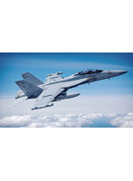 ホビーボス 1/48 アメリカ軍 EA-18G グラウラー