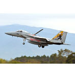 1/72 航空自衛隊 F-15J イーグル 第305飛行隊 新田原基地エアフェスタ2022 記念塗装機