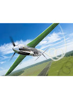 HPR48015 ハイプレーンモデルズ 1/48 P-51A プレシャスメタルII オシュコシュ2007