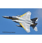 1/72 航空自衛隊 F-15J イーグル 小松基地航空祭2014 第306飛行隊 ゴールデンイーグルス 特別塗装機