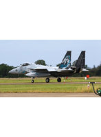 1/72 航空自衛隊 F-15Jイーグル 第303飛行隊 2022年小松基地航空祭 記念塗装機