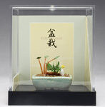草物寄せ植え【水色角鉢】
