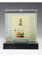 草物寄せ植え【水色角鉢】