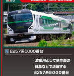10-1883 E257系5000番台 9両セット
