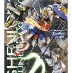 【6月出荷予定分】MG 1/100 143 シェンロンガンダムEW