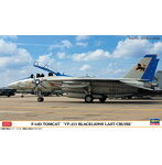 F-14D トムキャット ‘VF-213 ブラックライオンズ ラストクルーズ’