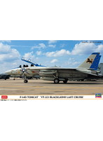 F-14D トムキャット ‘VF-213 ブラックライオンズ ラストクルーズ’