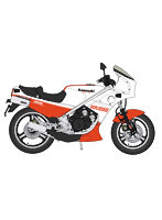 カワサキ KR250 （KR250A） ‘ホワイト/レッドカラー’