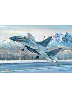 1/32 MiG-29UB ファルクラムB型