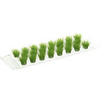 草むら・草丈12mm（新緑・23株セット）