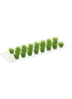 草むら・草丈12mm（新緑・23株セット）