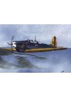 LF7247 1/72 コンソリデーテッド PB-2A/P-30