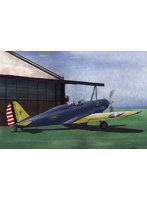 LF7248 1/72 コンソリデーテッド PB-2A 単座